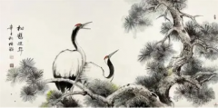 寻找长寿药:世上到底有没有仙丹?