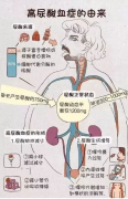 “添根玉脉”天然含钒富硒岩层水