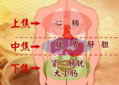 武汉国粹中医院鲍长友：中医治癌，应重点顾护肾脾二脏