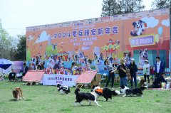 第二届颜宠新年牵爪之约【2024零互颜宠新年会】圆满落幕